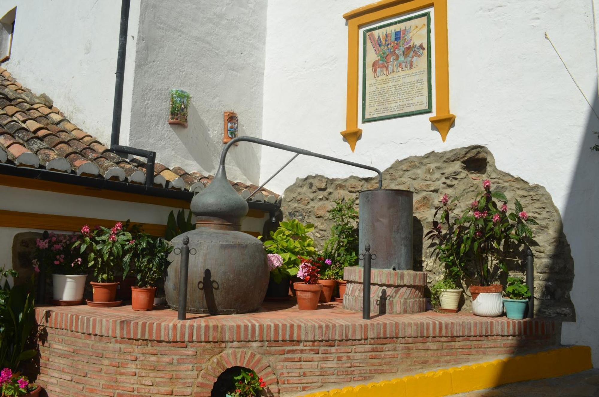 Finca El Molino De Aceite Jubrique Exterior foto